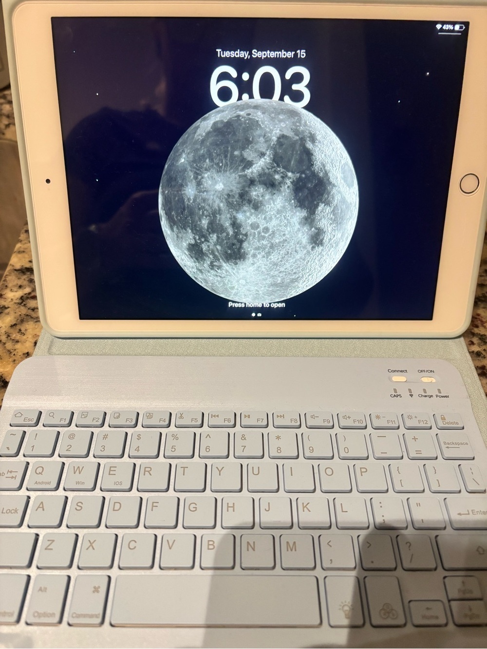 Apple iPad with Light Blue/White Bluetooth Keyboard Case